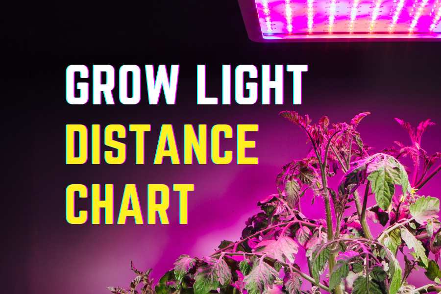 Grow Light Distance Chart Optimal Distance for Plant Growth