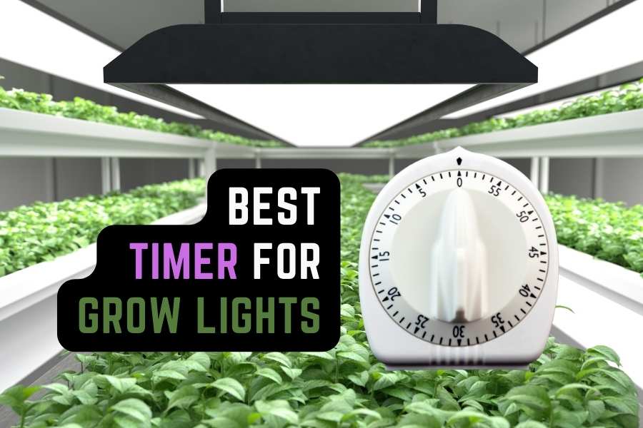 Best Grow Light Timer Reviews and