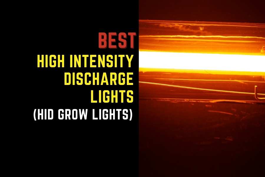 Best HID Grow Lights A Comprehensive Guide