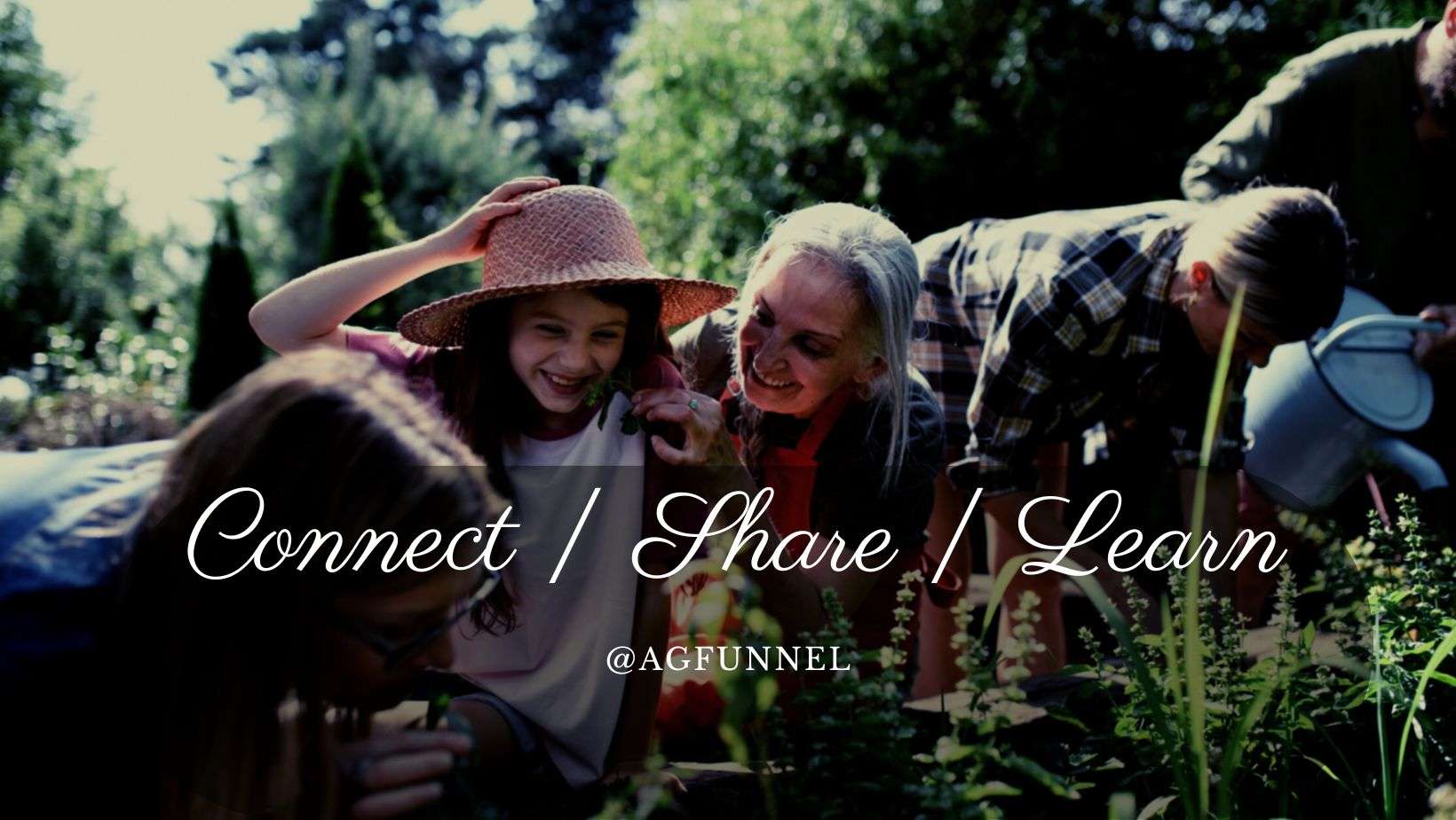 A Group Of People In A Garden.