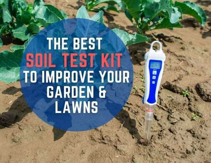 The best soil test to improve your garden and lawn. The best soil test to improve your garden and lawn.