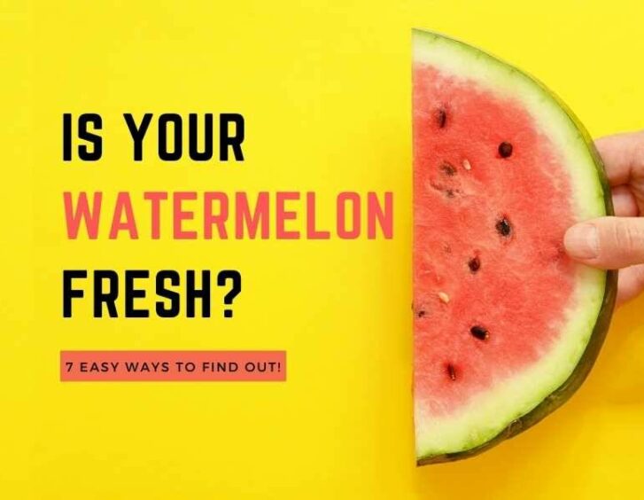 Is your watermelon fresh?. Is your watermelon fresh?.