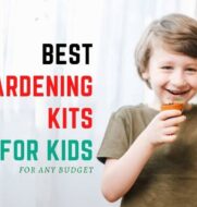 Best gardening kits for kids on a budget.