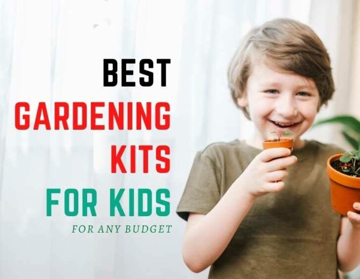 Best gardening kits for kids on a budget. Best gardening kits for kids on a budget.