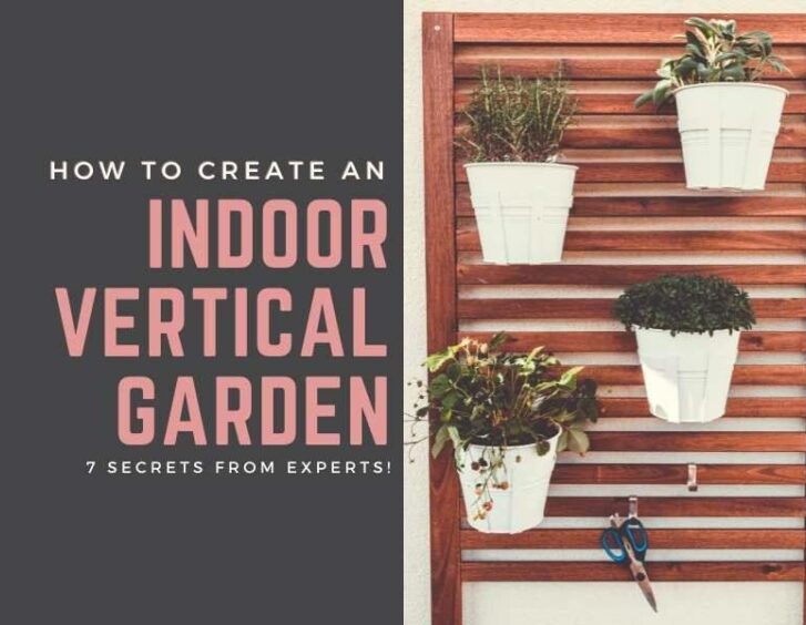 How to create an indoor vertical garden. How to create an indoor vertical garden.