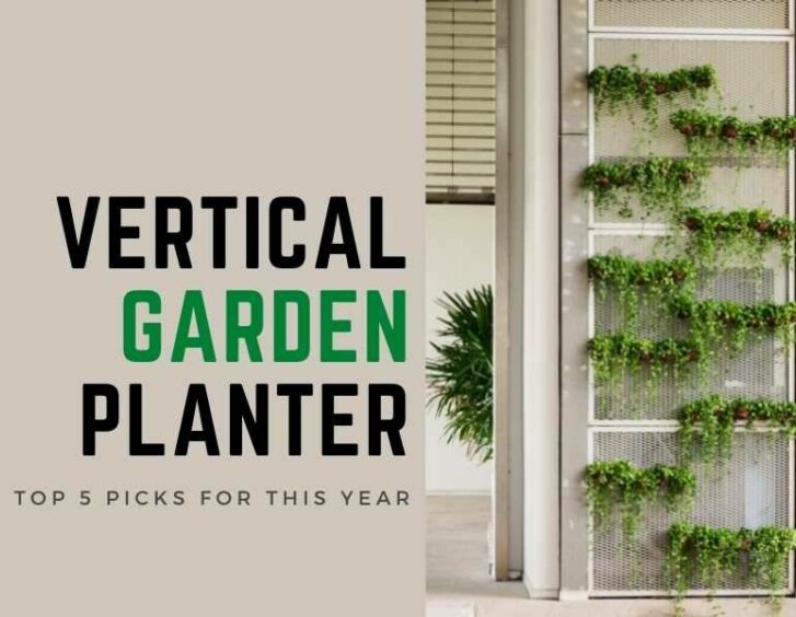 Vertical garden planter top picks for this year. Vertical garden planter top picks for this year.