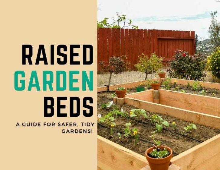 Raised garden beds a guide for safe toy gardens. Raised garden beds a guide for safe toy gardens.