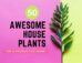 50 awesome house plants for a productive home.