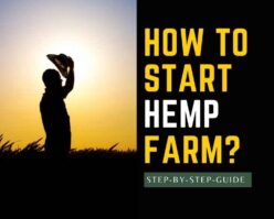 How to start a hemp farm.