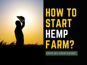How to start a hemp farm.