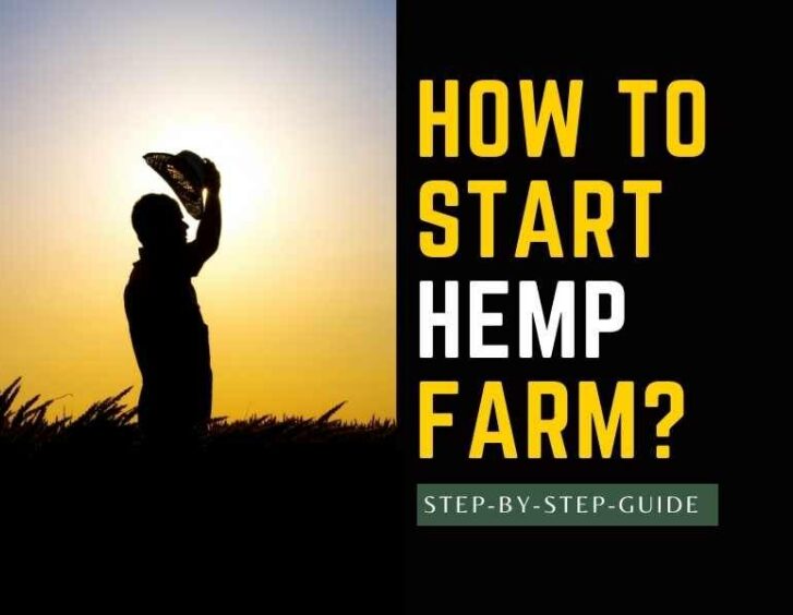 How to start a hemp farm. How to start a hemp farm.