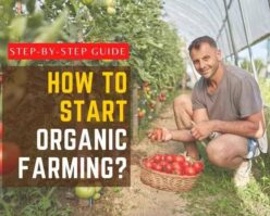 How to start organic farming?.