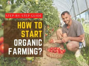 How to start organic farming?.