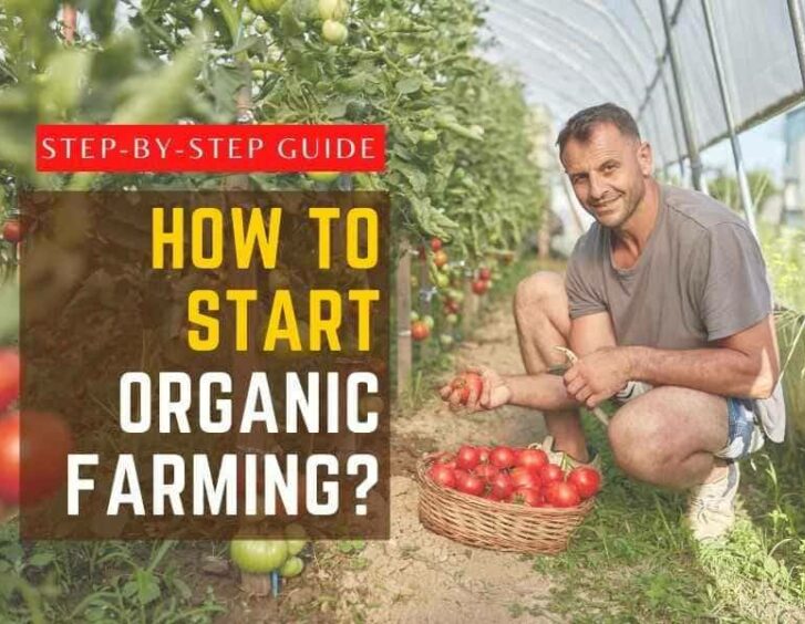 How to start organic farming?.
