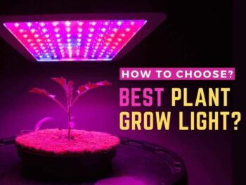 How to choose the best plant grow light?.
