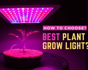 How to choose the best plant grow light?.