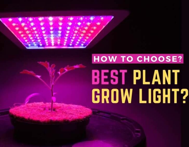 How to choose the best plant grow light?. How to choose the best plant grow light?.