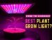 How to choose the best plant grow light?. How to choose the best plant grow light?.