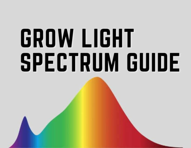 Grow light spectrum guide. Grow light spectrum guide.