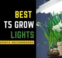 Best t5 grow lights experts recommended.