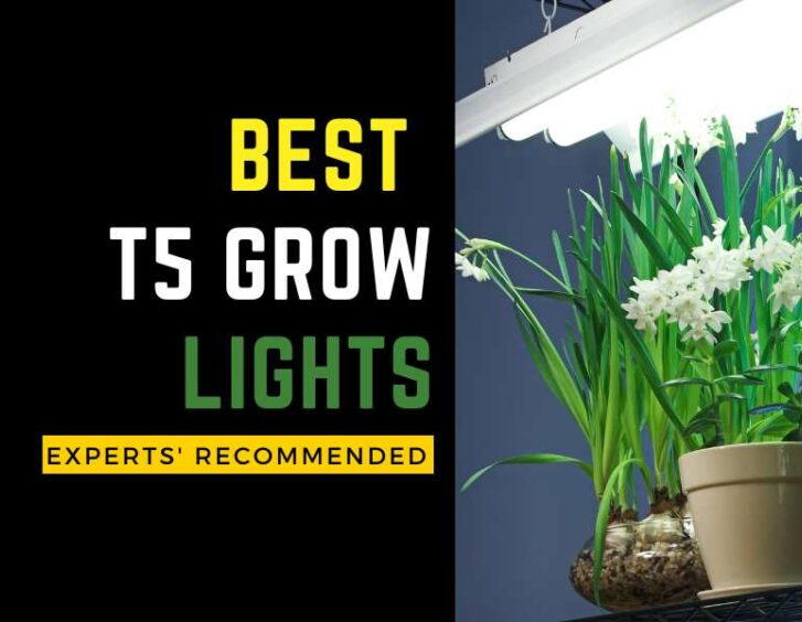 Best t5 grow lights experts recommended. Best t5 grow lights experts recommended.