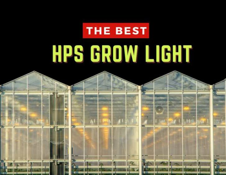 The best hps grow light. The best hps grow light.