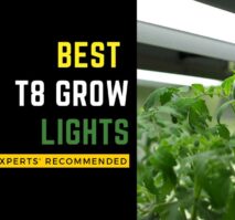 Best t8 grow lights experts recommended.