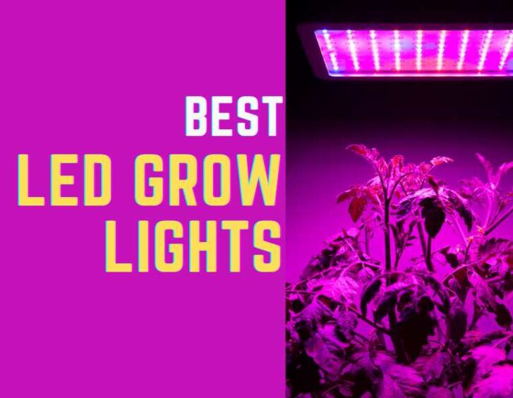 Best led grow lights. Best led grow lights.