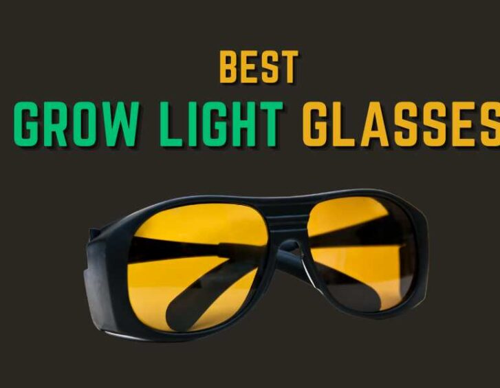 Best grow light glasses. Best grow light glasses.