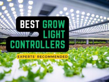 Best grow light controllers experts recommended.
