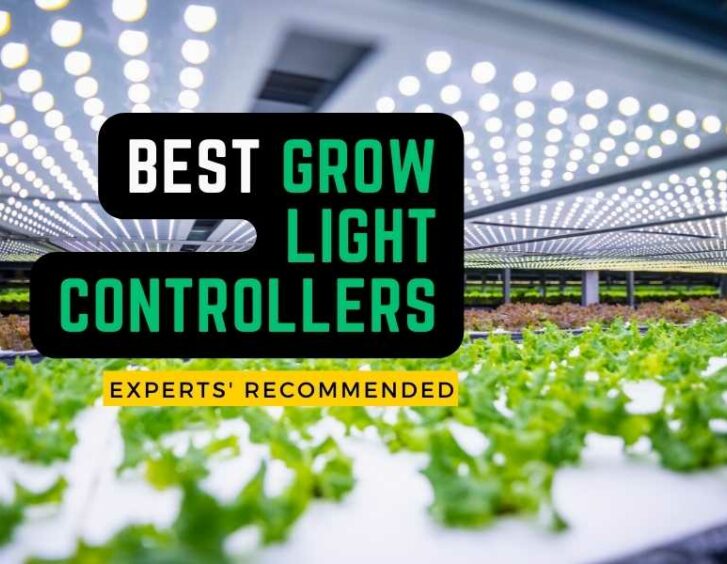 Best grow light controllers experts recommended. Best grow light controllers experts recommended.