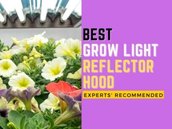 Best grow light reflector hood experts recommended.