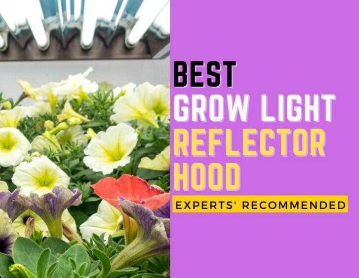 Best grow light reflector hood experts recommended. Best grow light reflector hood experts recommended.