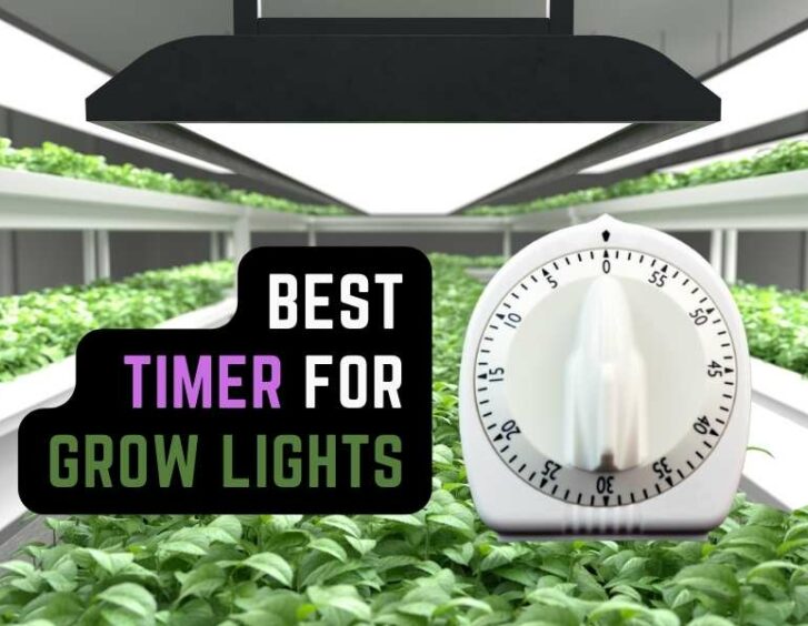 Top-rated grow light timer for optimal plant growth. Top-rated grow light timer for optimal plant growth.