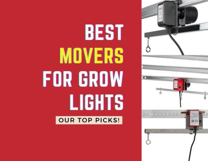 Top picks for the best movers to use with grow lights include those equipped with a timer. Top picks for the best movers to use with grow lights include those equipped with a timer.