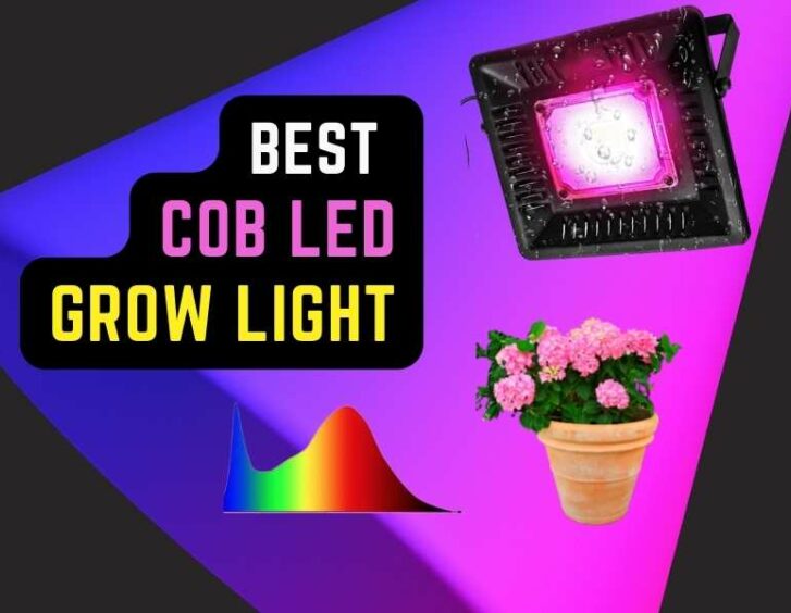 Top-rated cob led grow light with timers for optimal plant growth. Top-rated cob led grow light with timers for optimal plant growth.