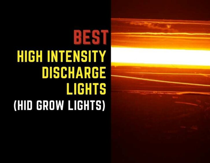 Top high intensity discharge lights for kids with a grow light timer.