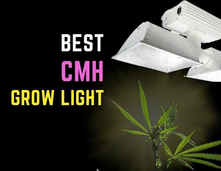 Top-quality cmh grow light with built-in timer for optimal growth and efficiency. Top-quality cmh grow light with built-in timer for optimal growth and efficiency.