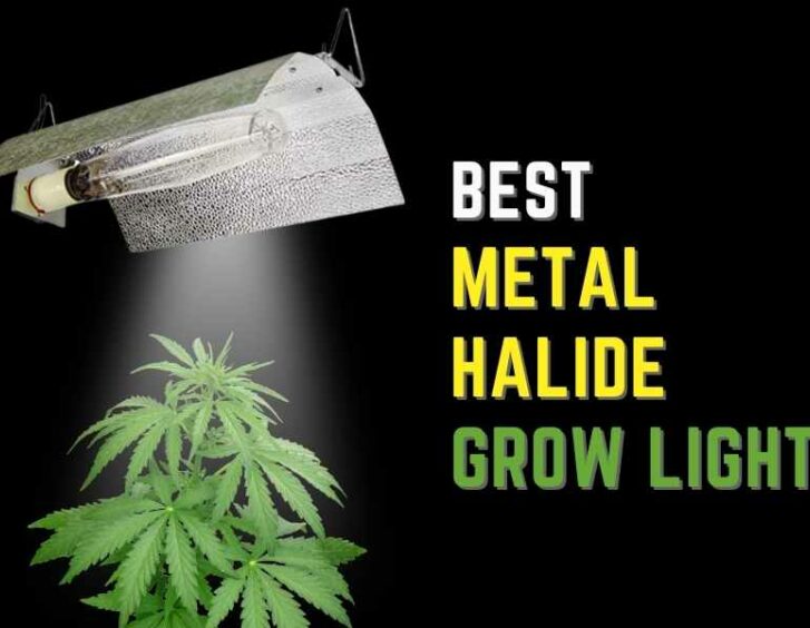 Top-rated metal halide grow light recommended by experts. Top-rated metal halide grow light recommended by experts.