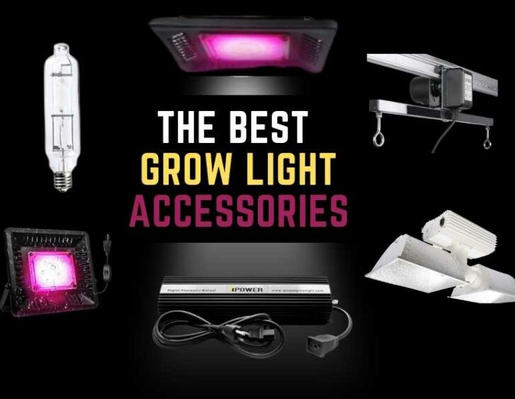 Enhance your indoor plant growth with the best grow light accessories.