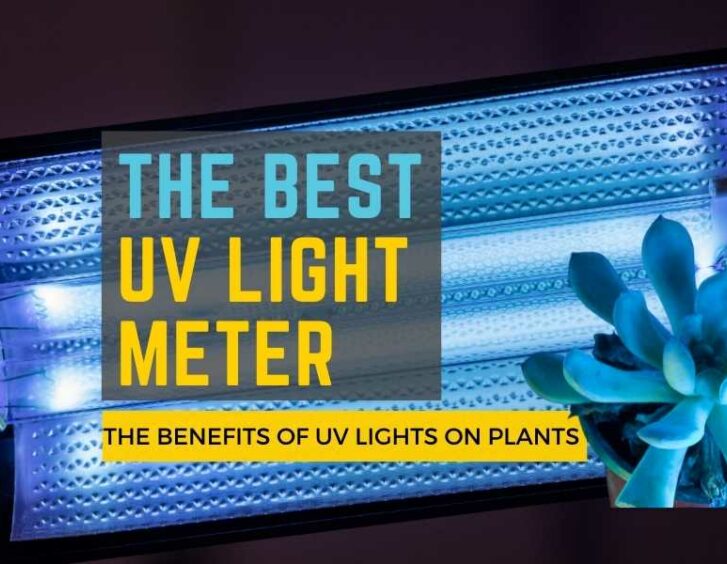 Discover the benefits of UV lights on indoor plants with the best UV light meter! Perfect for grow light accessories.