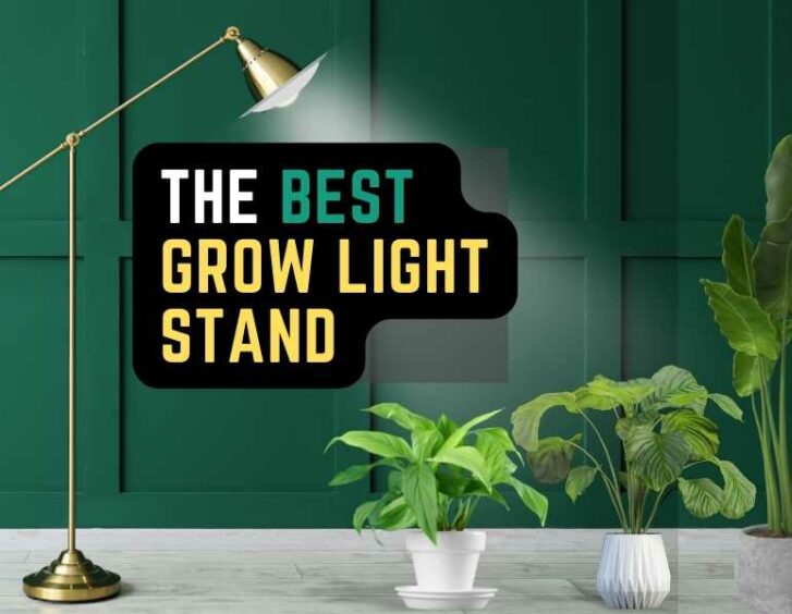 The must-have grow light stand for indoor plants.