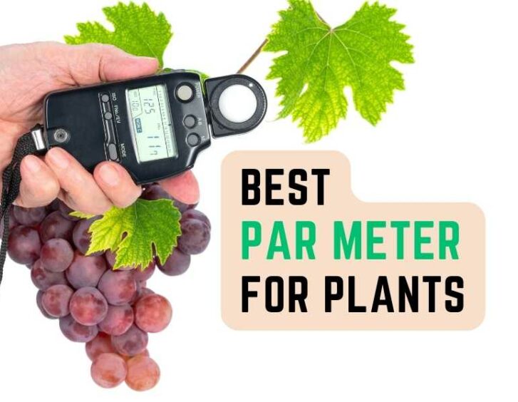 Top-notch par meter for indoor plants, a must-have grow light accessory. Top-notch par meter for indoor plants, a must-have grow light accessory.