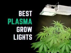 Must-have grow light accessories for indoor plants. Must-have grow light accessories for indoor plants.