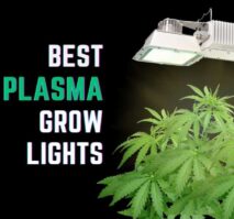 Must-have grow light accessories for indoor plants.