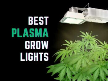 Must-have grow light accessories for indoor plants.