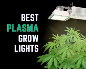 Must-have grow light accessories for indoor plants.