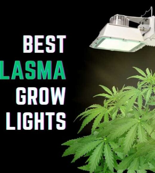 Must-have grow light accessories for indoor plants. Must-have grow light accessories for indoor plants.