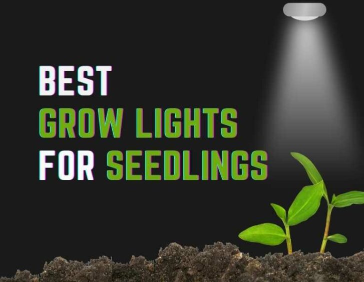 Top grow lights for seedlings are essential accessories for indoor plants. Top grow lights for seedlings are essential accessories for indoor plants.