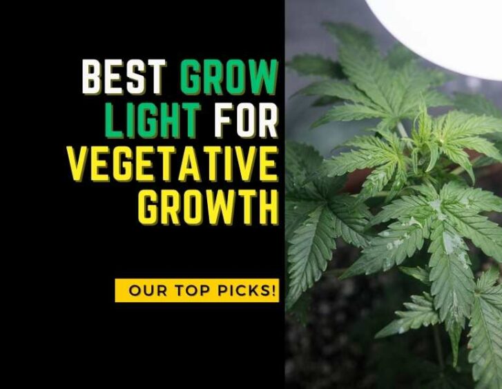 Best grow light for vegetative growth and flowering stage. Best grow light for vegetative growth and flowering stage.